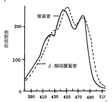 關於葉綠素及葉黃素還有類胡蘿蔔素 快樂小藥師im Pharmacist Nichts Glucklich 痞客邦