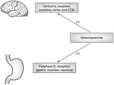 metoclopramide.jpg