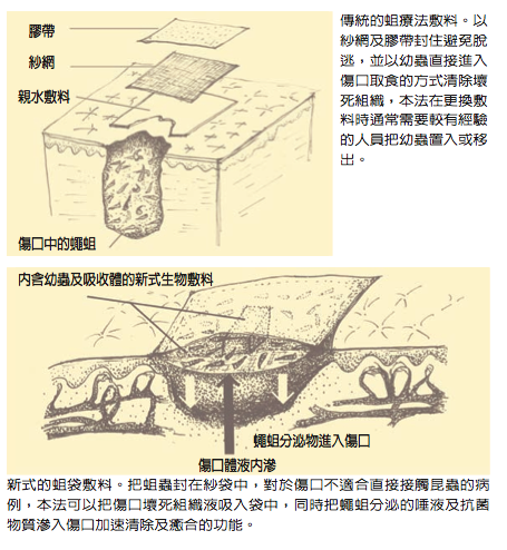 螢幕快照 2010-10-27 上午12.49.46.png