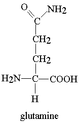 glutamine-supplements.gif