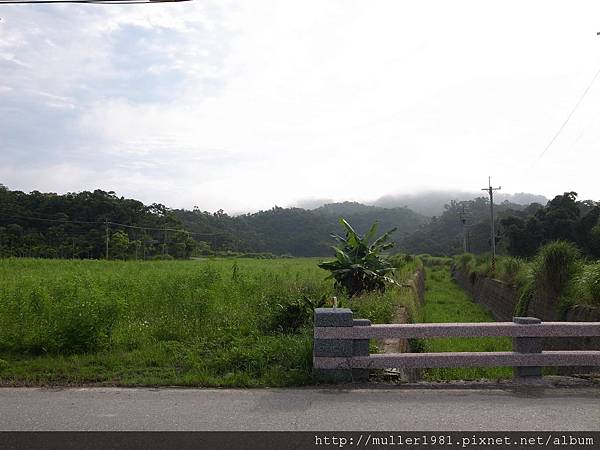 R0011431.JPG
