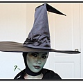 OZ west witch5.jpg