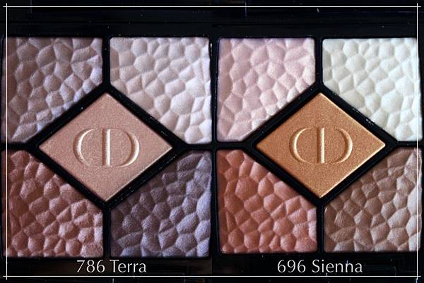 dior wild earth eyeshadow_1.jpg