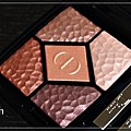 dior wild earth eyeshadow 786 terra flash.jpg