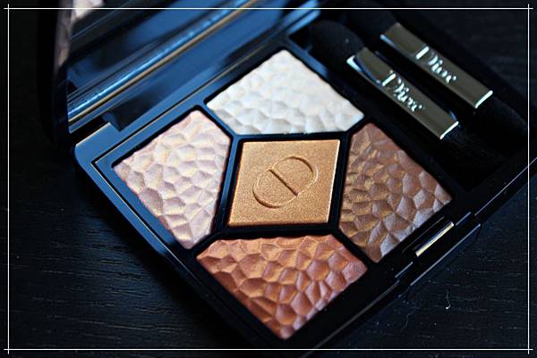 dior wild earth eyeshadow 696 sienna .jpg