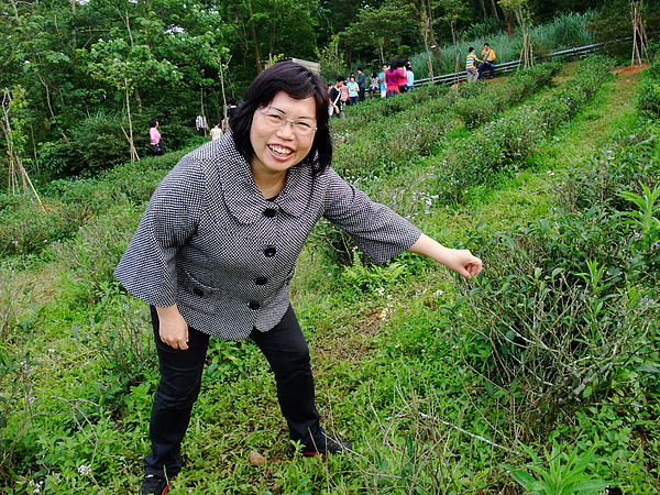 認真演出超鄉土採茶女~