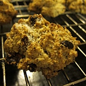 IMG_0113 IMG_0113