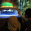 IMG_0125 IMG_0125