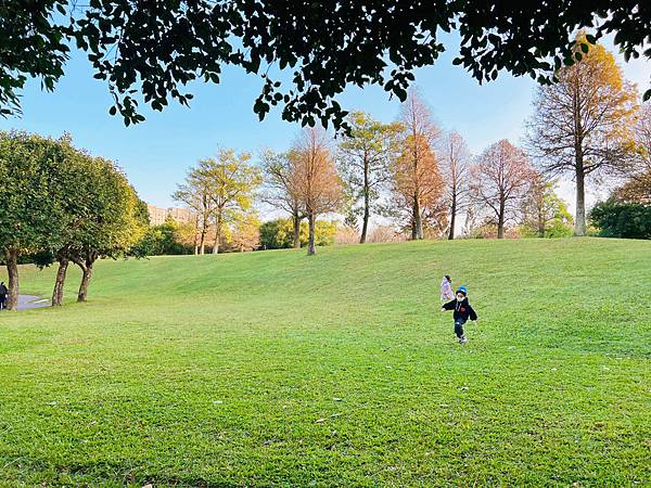 ★桃園●大溪 *埔頂公園* 優美大草皮一起放風趣🪁一次玩三個