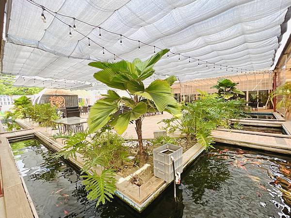 ★彰化●哈比雪兒親子餐廳*有大草皮遊戲區、小火車、餵魚區,不 ★彰化●哈比雪兒親子餐廳*有大草皮遊戲區、小火車、餵魚區,不