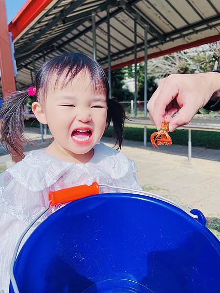 ★嘉義●中埔*獨角仙休閒農場*滑草、釣鰲蝦、餵羊駝、生態導覽 ★嘉義●中埔*獨角仙休閒農場*滑草、釣鰲蝦、餵羊駝、生態導覽