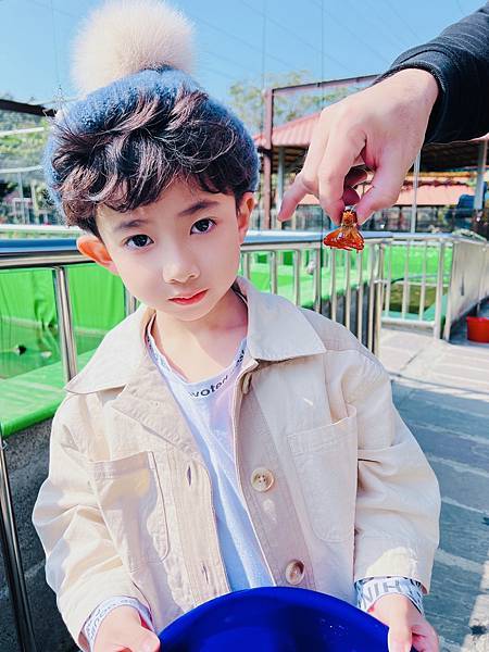 ★嘉義●中埔*獨角仙休閒農場*滑草、釣鰲蝦、餵羊駝、生態導覽 ★嘉義●中埔*獨角仙休閒農場*滑草、釣鰲蝦、餵羊駝、生態導覽