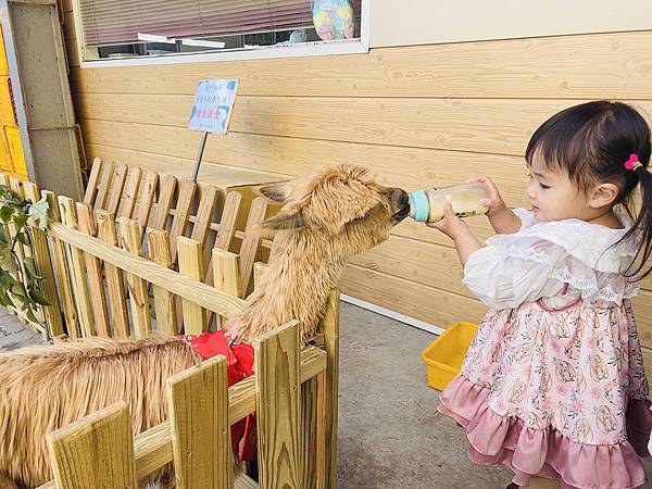 ★嘉義●中埔＊獨角仙休閒農場＊滑草、釣鰲蝦、餵羊駝、生態導覽