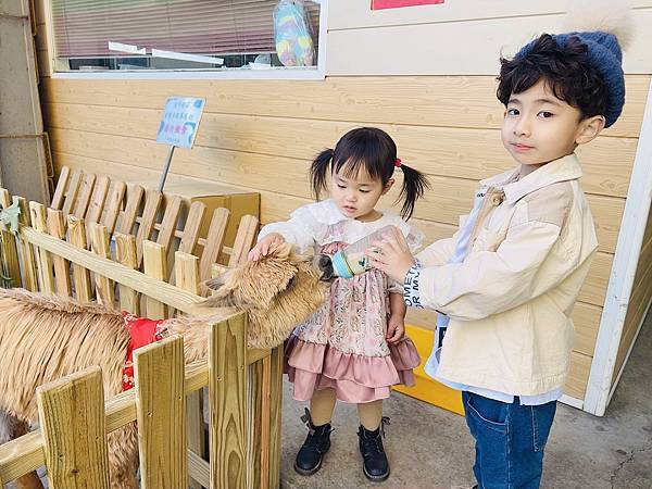 ★嘉義●中埔＊獨角仙休閒農場＊滑草、釣鰲蝦、餵羊駝、生態導覽