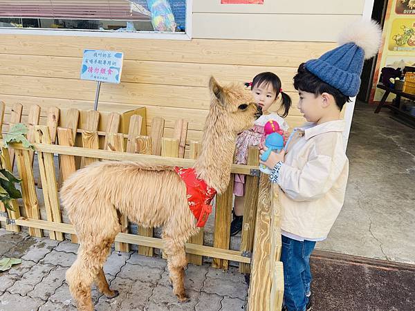 ★嘉義●中埔＊獨角仙休閒農場＊滑草、釣鰲蝦、餵羊駝、生態導覽