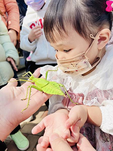 ★嘉義●中埔＊獨角仙休閒農場＊滑草、釣鰲蝦、餵羊駝、生態導覽