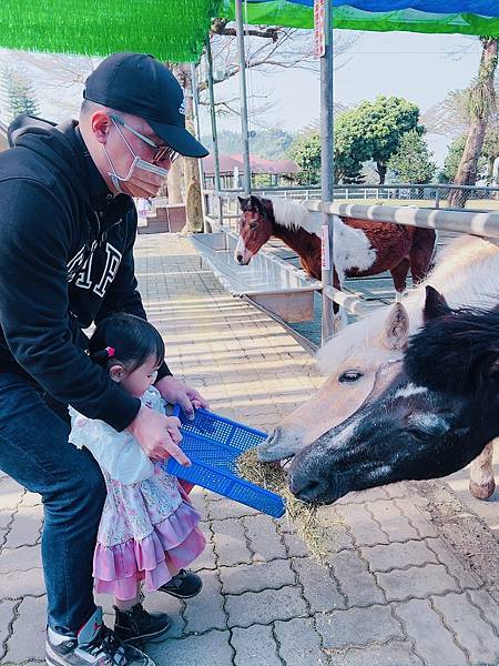 ★嘉義●中埔＊獨角仙休閒農場＊滑草、釣鰲蝦、餵羊駝、生態導覽