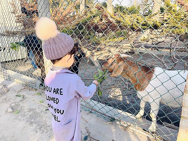 ★彰化●欣蝶園親子休閒農場*假日限定,六歲以下免費入園,還有 ★彰化●欣蝶園親子休閒農場*假日限定,六歲以下免費入園,還有