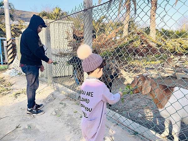 ★彰化●欣蝶園親子休閒農場*假日限定,六歲以下免費入園,還有 ★彰化●欣蝶園親子休閒農場*假日限定,六歲以下免費入園,還有