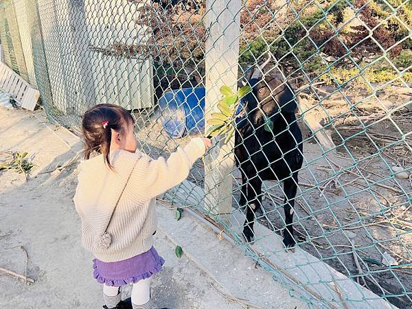 ★彰化●欣蝶園親子休閒農場*假日限定,六歲以下免費入園,還有 ★彰化●欣蝶園親子休閒農場*假日限定,六歲以下免費入園,還有