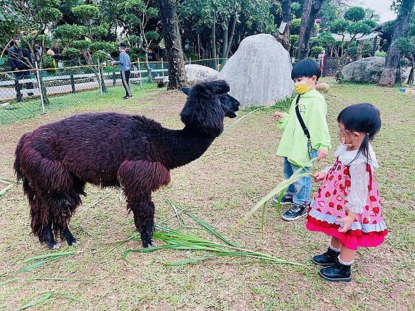 ★桃園●羊世界牧場&勇伯台灣羊餐廳*國小以下免費入園,花百元 ★桃園●羊世界牧場&勇伯台灣羊餐廳*國小以下免費入園,花百元