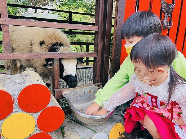 ★桃園●羊世界牧場&勇伯台灣羊餐廳*國小以下免費入園,花百元 ★桃園●羊世界牧場&勇伯台灣羊餐廳*國小以下免費入園,花百元