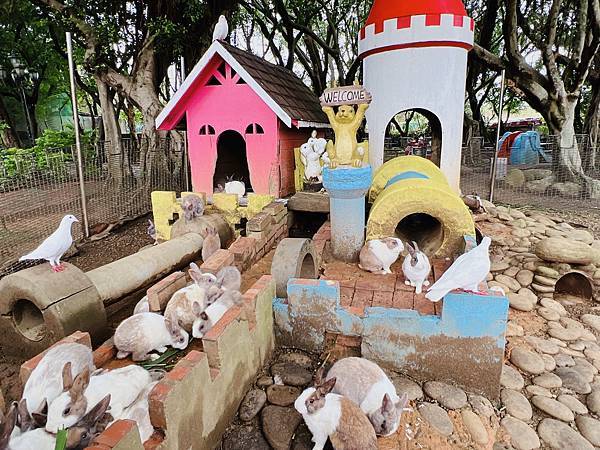 ★桃園●羊世界牧場&勇伯台灣羊餐廳*國小以下免費入園,花百元 ★桃園●羊世界牧場&勇伯台灣羊餐廳*國小以下免費入園,花百元