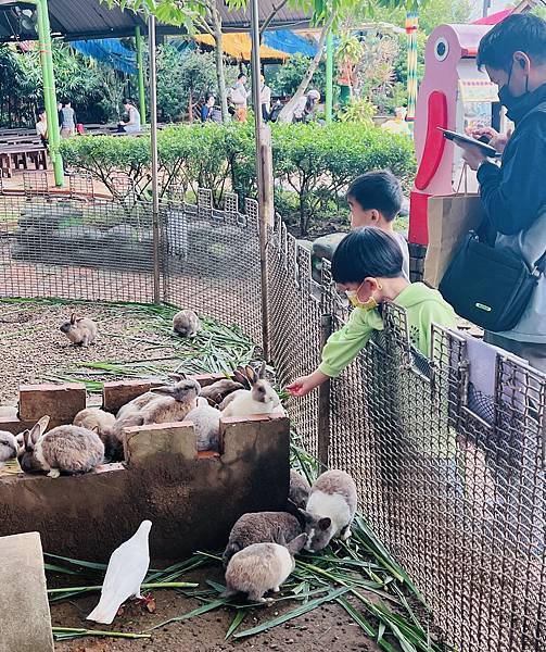 ★桃園●羊世界牧場＆勇伯台灣羊餐廳＊國小以下免費入園，花百元