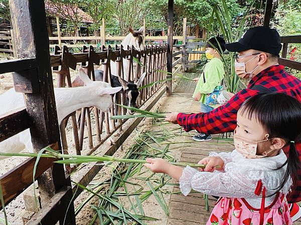 ★桃園●羊世界牧場&勇伯台灣羊餐廳*國小以下免費入園,花百元 ★桃園●羊世界牧場&勇伯台灣羊餐廳*國小以下免費入園,花百元