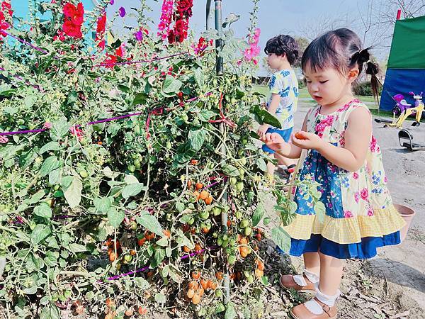 ★彰化●長頸鹿休閒農場*週末限定親子點,親子手搖船、電動車、 ★彰化●長頸鹿休閒農場*週末限定親子點,親子手搖船、電動車、