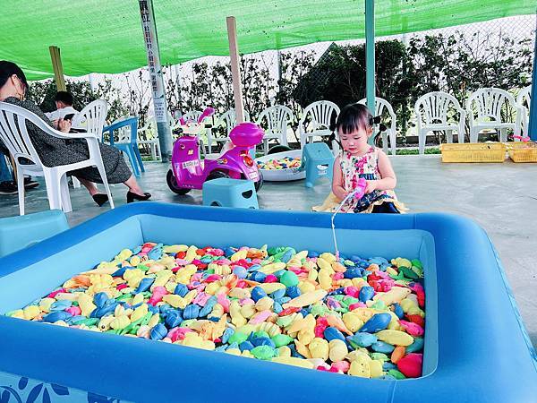 ★彰化●長頸鹿休閒農場*週末限定親子點,親子手搖船、電動車、 ★彰化●長頸鹿休閒農場*週末限定親子點,親子手搖船、電動車、