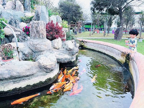 ★彰化●長頸鹿休閒農場*週末限定親子點,親子手搖船、電動車、 ★彰化●長頸鹿休閒農場*週末限定親子點,親子手搖船、電動車、