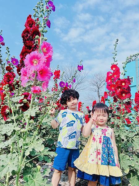 ★彰化●長頸鹿休閒農場*週末限定親子點,親子手搖船、電動車、 ★彰化●長頸鹿休閒農場*週末限定親子點,親子手搖船、電動車、