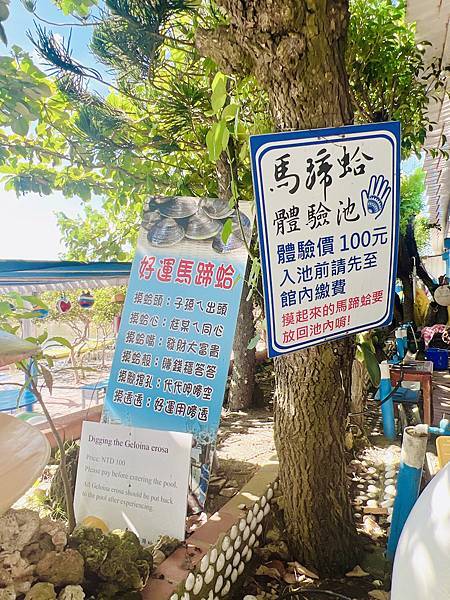 ★雲林親子景點推薦★『 馬蹄蛤主題館 』世界上最大的“ 蛤  ★雲林親子景點推薦★『 馬蹄蛤主題館 』世界上最大的“ 蛤