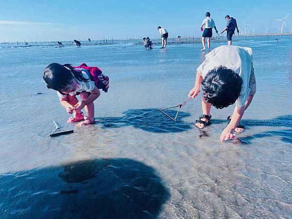 ★彰化●王功漁港*超好玩刺激的鐵牛車體驗,挖蛤烤蚵一次滿足大 ★彰化●王功漁港*超好玩刺激的鐵牛車體驗,挖蛤烤蚵一次滿足大