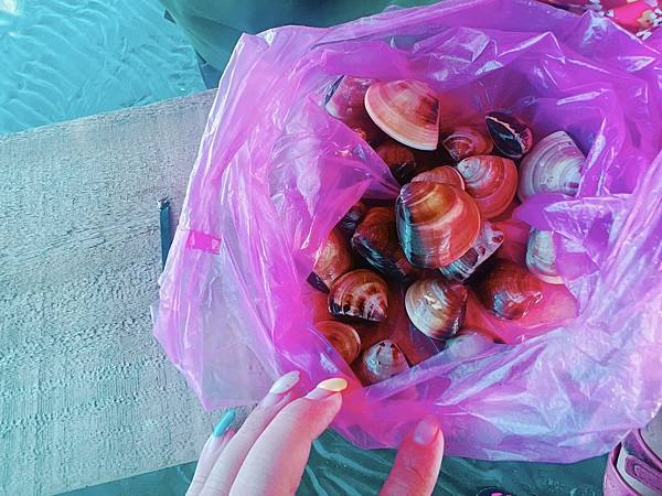 ★彰化●王功漁港*超好玩刺激的鐵牛車體驗,挖蛤烤蚵一次滿足大 ★彰化●王功漁港*超好玩刺激的鐵牛車體驗,挖蛤烤蚵一次滿足大