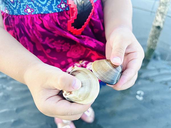 ★彰化●王功漁港*超好玩刺激的鐵牛車體驗,挖蛤烤蚵一次滿足大 ★彰化●王功漁港*超好玩刺激的鐵牛車體驗,挖蛤烤蚵一次滿足大