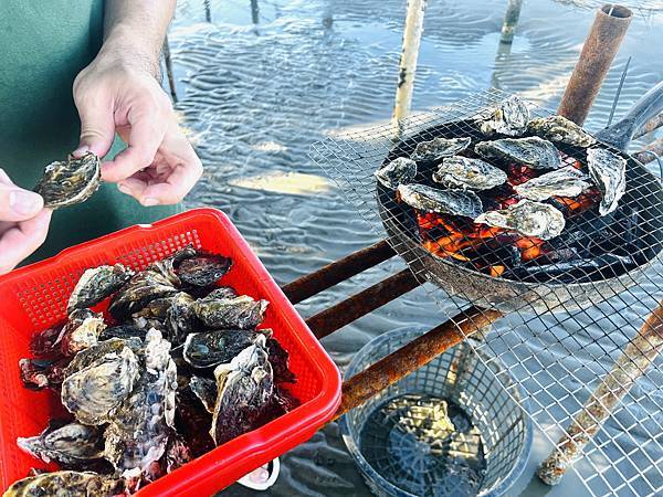 ★彰化●王功漁港*超好玩刺激的鐵牛車體驗,挖蛤烤蚵一次滿足大 ★彰化●王功漁港*超好玩刺激的鐵牛車體驗,挖蛤烤蚵一次滿足大
