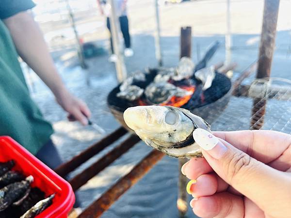 ★彰化●王功漁港*超好玩刺激的鐵牛車體驗,挖蛤烤蚵一次滿足大 ★彰化●王功漁港*超好玩刺激的鐵牛車體驗,挖蛤烤蚵一次滿足大