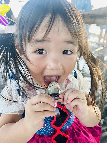 ★彰化●王功漁港*超好玩刺激的鐵牛車體驗,挖蛤烤蚵一次滿足大 ★彰化●王功漁港*超好玩刺激的鐵牛車體驗,挖蛤烤蚵一次滿足大