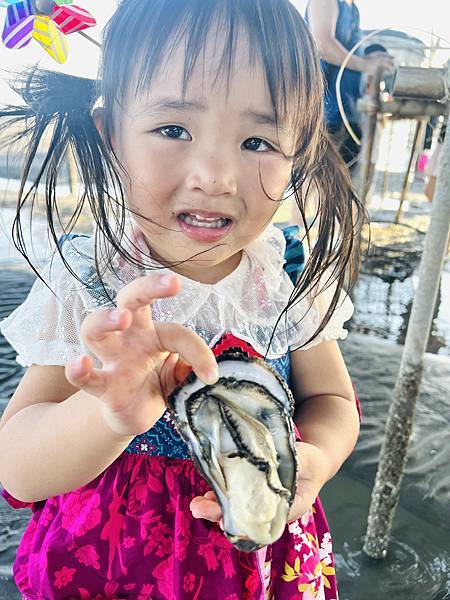 ★彰化●王功漁港*超好玩刺激的鐵牛車體驗,挖蛤烤蚵一次滿足大 ★彰化●王功漁港*超好玩刺激的鐵牛車體驗,挖蛤烤蚵一次滿足大