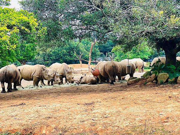 ★新竹●關西＊六福村主題遊樂園＊號稱台版環球影城，水陸都好玩
