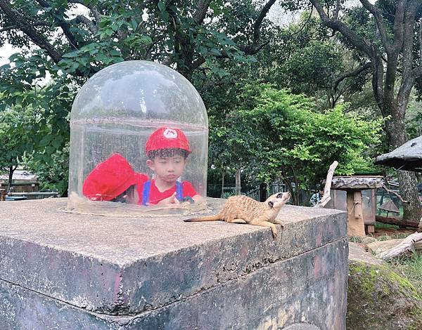 ★新竹●關西＊六福村主題遊樂園＊號稱台版環球影城，水陸都好玩