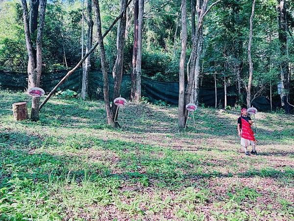 ★南投住宿●泰雅渡假村＊守護木³島，一起來挑戰成為勇士！！伐