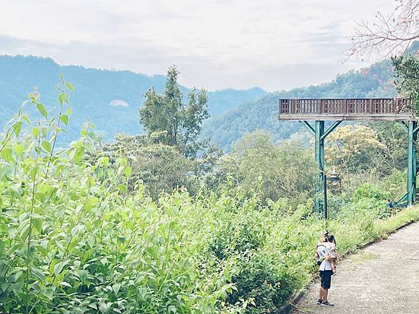 ★南投住宿●泰雅渡假村＊守護木³島，一起來挑戰成為勇士！！伐