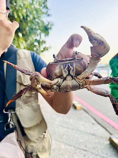 ★台中住宿●蟬說:夕陽漫漫*擁有最美夕陽的高美濕地親子豪華露 ★台中住宿●蟬說:夕陽漫漫*擁有最美夕陽的高美濕地親子豪華露