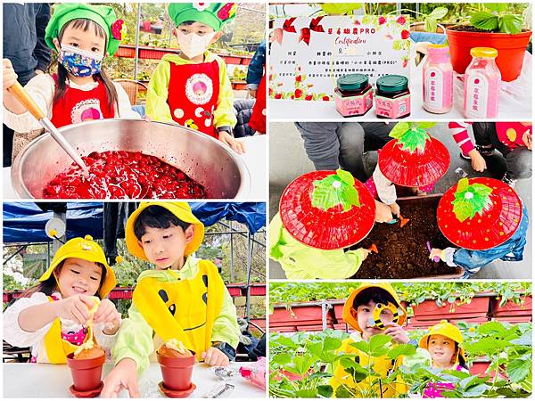 ★台北親子景點推薦★內湖草莓園-碧山路49號＊2024年草莓