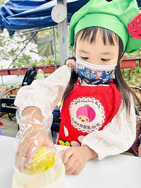 ★台北親子景點推薦★內湖草莓園-碧山路49號*2024年草莓 ★台北親子景點推薦★內湖草莓園-碧山路49號*2024年草莓