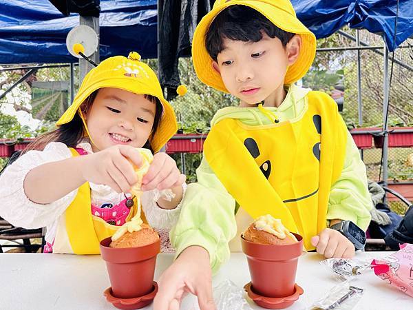 ★台北親子景點推薦★內湖草莓園-碧山路49號*2024年草莓 ★台北親子景點推薦★內湖草莓園-碧山路49號*2024年草莓