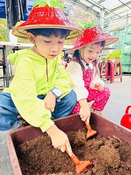 ★台北親子活動●內湖草莓園-碧山路49號＊草莓職人DIY活動